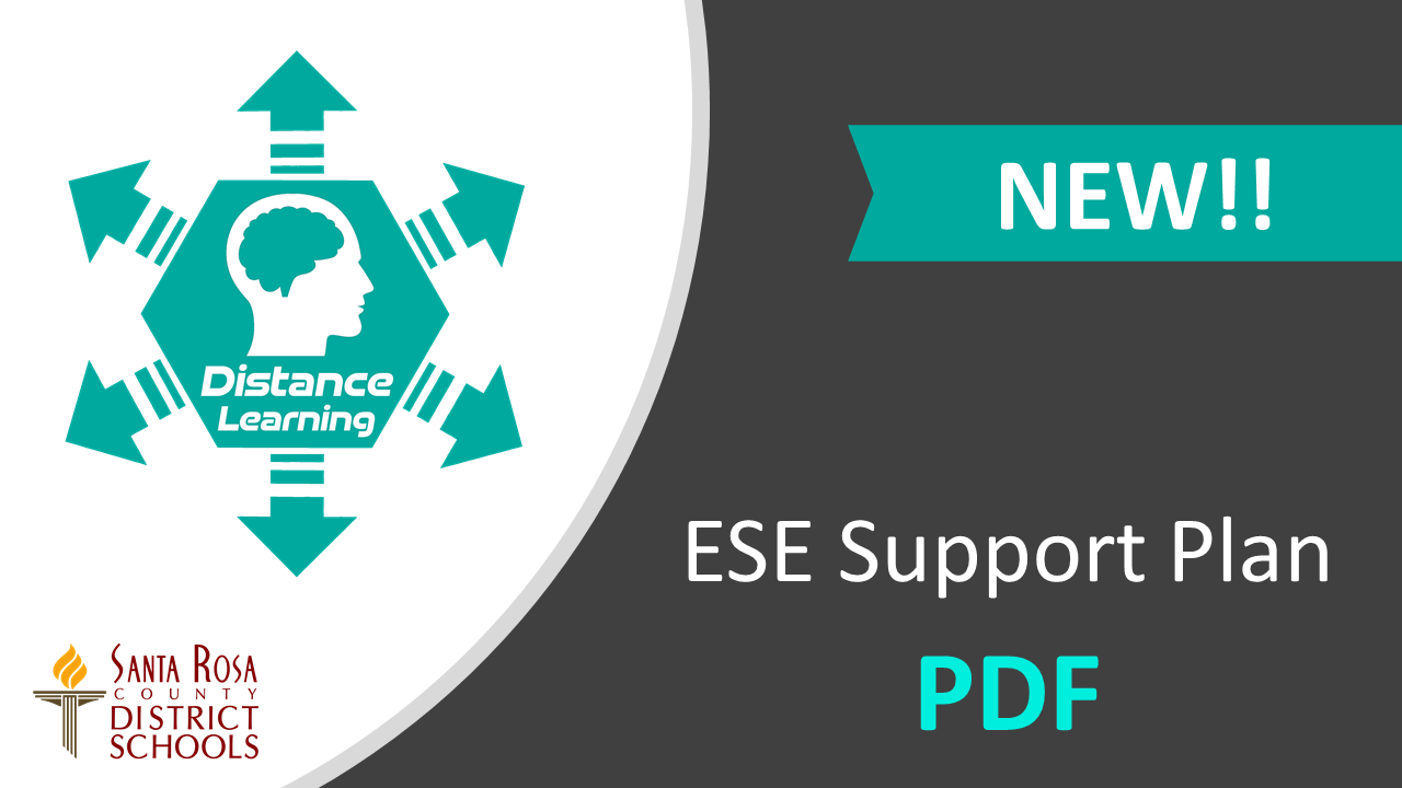 ESE Support Plan PDF